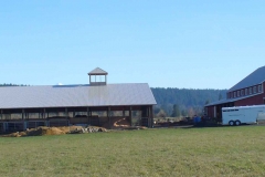 Large horse ranch