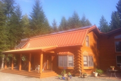 Copper Penny on Log cabin