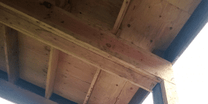 Trusses Rafters