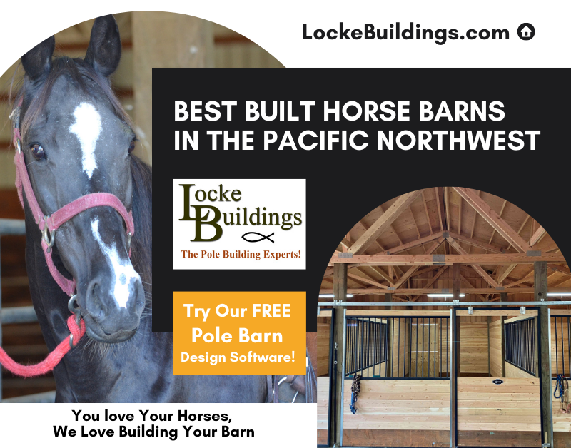 Horse looking at an equestrian pole barn with horse stalls 